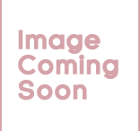 no_image