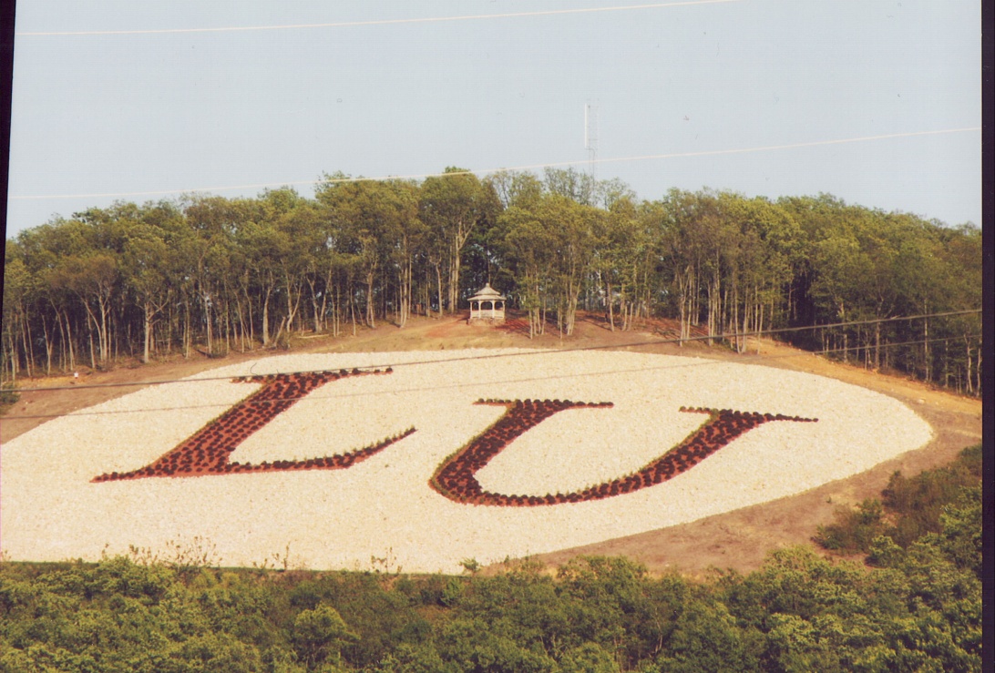 LU