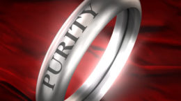 Sexual_Purity