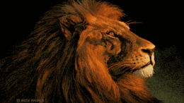 Courage