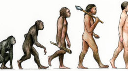 7767evolution