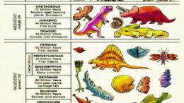 8112Geologic-time