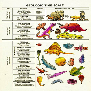8112Geologic-time