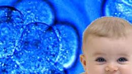 Embryo_Result_is_a_baby