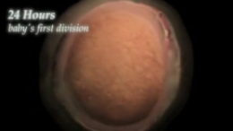 Screen-shot-2011-11-18-at-2.35.40-PM-300x156