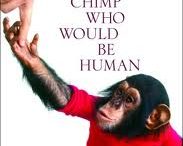 Nim_the_Chimp
