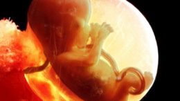 16_Week_Baby