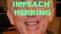 Petition Impeach Herring