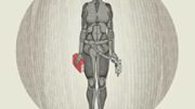 Destitution by Gavin H Wells