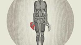 Destitution by Gavin H Wells