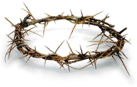 crown of thorns lg