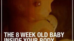 dont be fooled pro choice lies