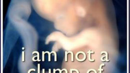 i am not a clump of cells