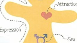 Genderbread person