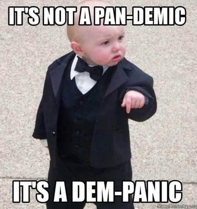 Pandemic or Dem-panic? From the Make Meme App