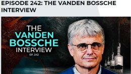 Vanden Bossche