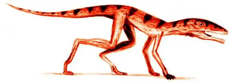 pterosaurs