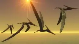 Pterosaurs