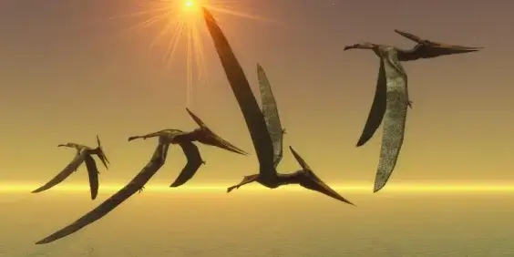 Pterosaurs