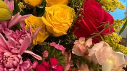 flowers