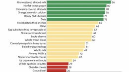 food compass