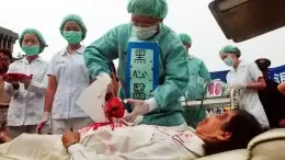 organ harvesting