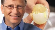 bill gates egg