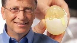 bill gates egg
