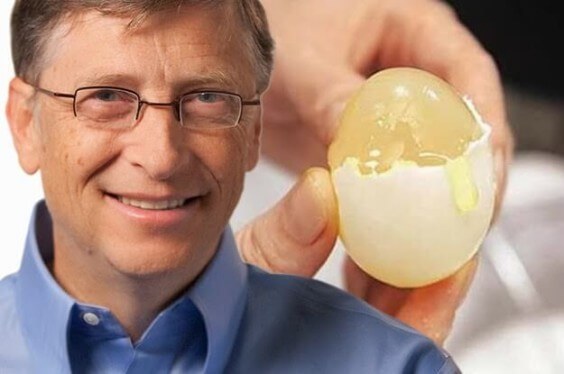 bill gates egg