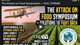 sythetic food
