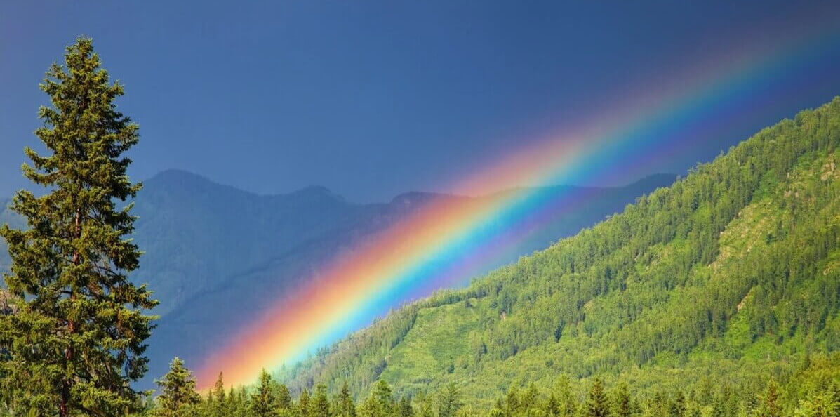Over the Rainbow: A Divine Design of Light, Water, and Mercy