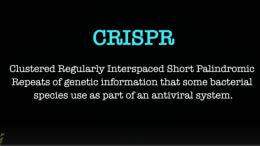 CRISPR