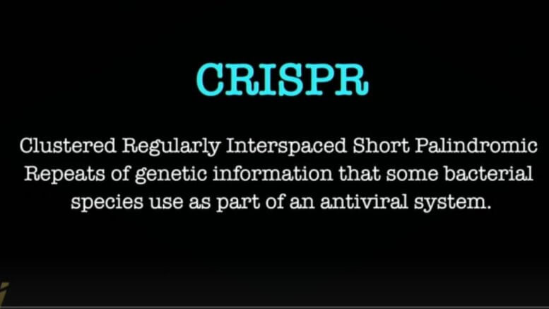 CRISPR