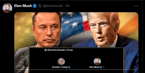 Trump Musk