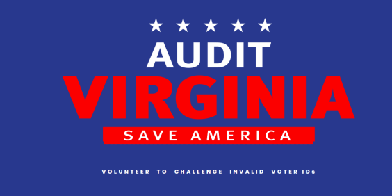 audit virginia