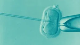 IVF ethical concerns