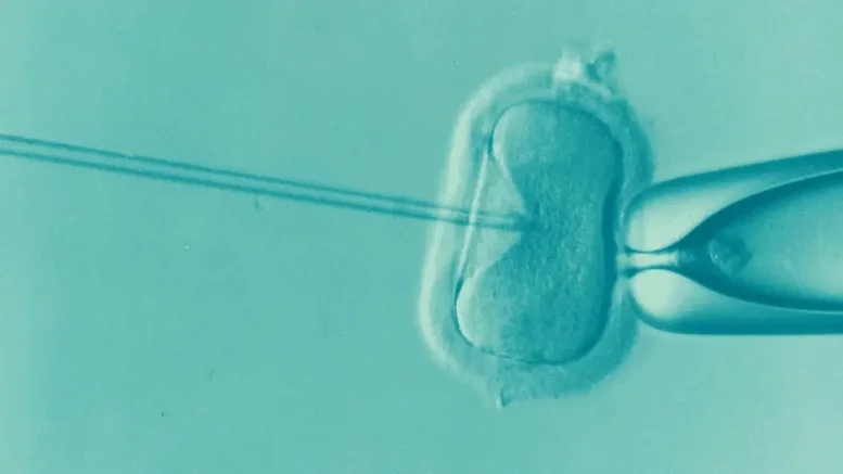 IVF ethical concerns