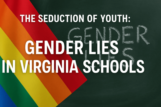 LGBTQ Virginia schools