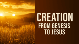Creation, Creationsim