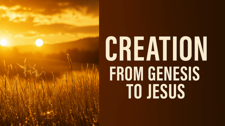 Creation, Creationsim