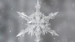Jewels of Winter Snow flake