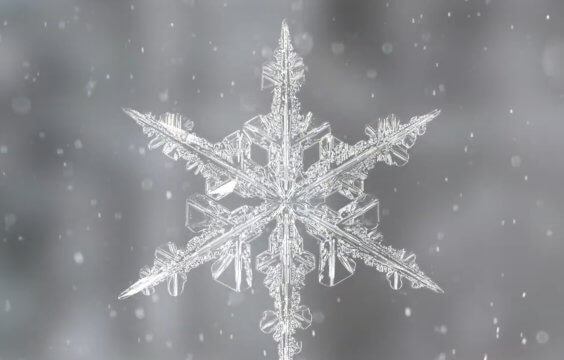 Jewels of Winter Snow flake
