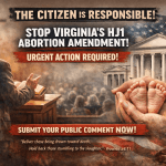 HJ1 Abortion amendment