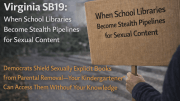 Virginia SB19 Sex Content Public Schools