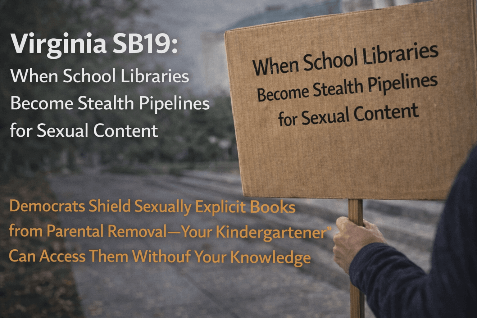 Virginia SB19: When School Libraries Become Stealth Pipelines for Sexual Content