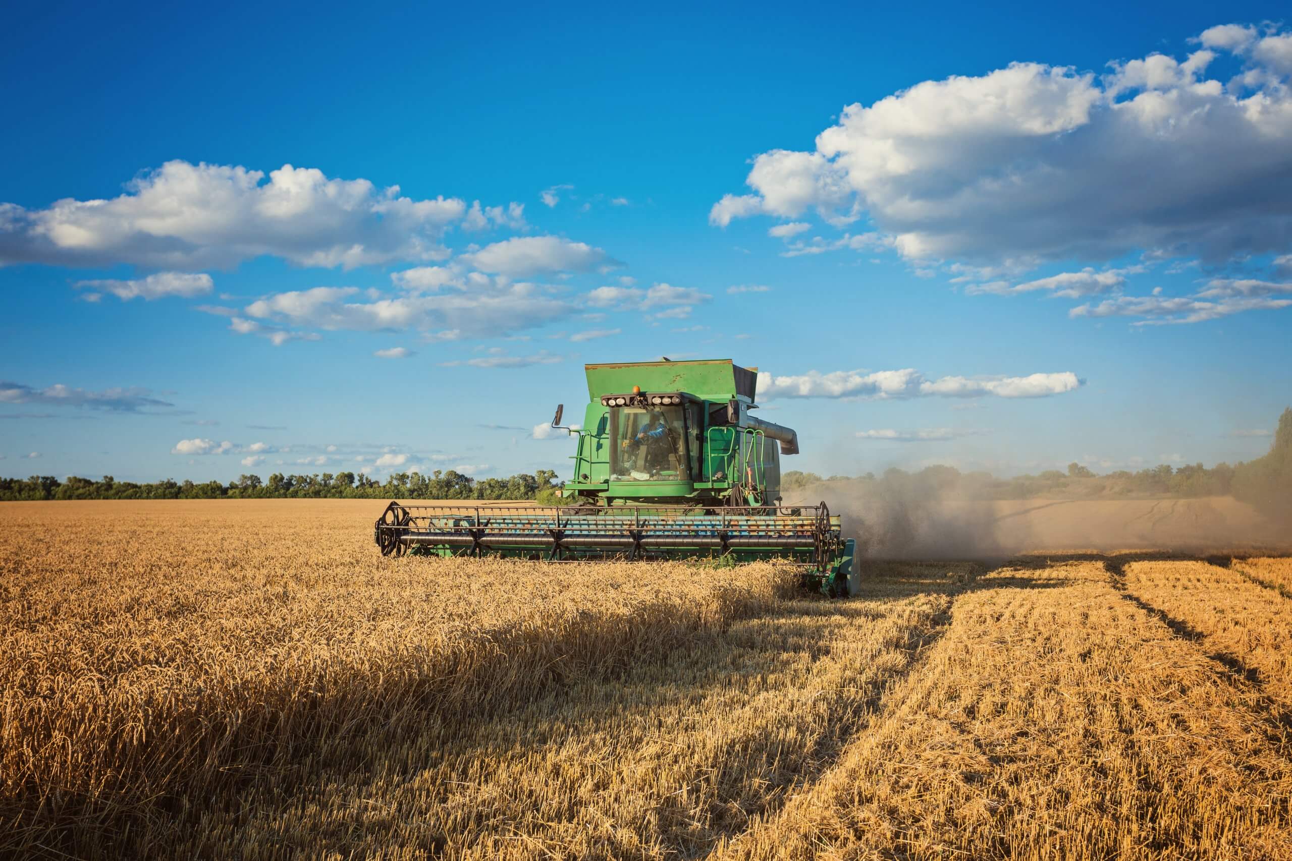 Are Glyphosate Use and Healthy Food Compatible?