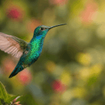 Hummingbird in flight, iridescent wings catching sunlight